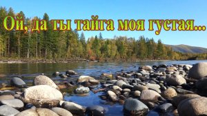 Ой, да ты тайга моя густая... Песня. Бодайбинка