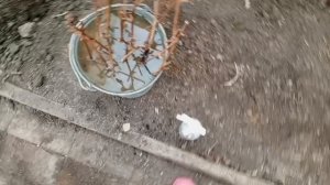 дела домашние 15 апреля