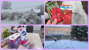 Запись к врачу. Покупки. Муж обрадовал.