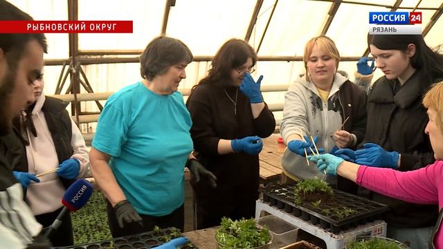 Актуальная тема - "Профессионалитет"