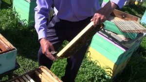 Делаем отводки на одну рамку под маточник