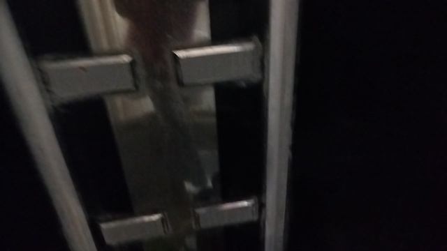 басик купается