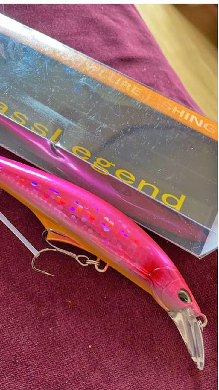 Копия - Jackson G CONTROL 95 / 120 - Под жереха сделан - тяжелый и тонущий. Морской воблер - с Али