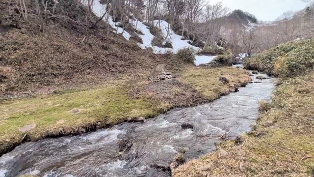 65.Северная красота, имеет место быть.