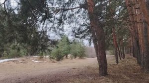 Уважать себя в работе по найму в организации