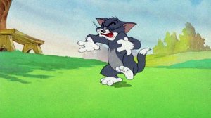 Том и Джерри. Золотая коллекция 36 серия