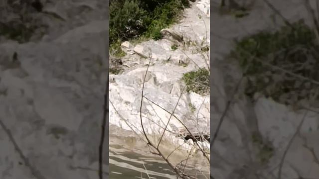 Вода из Кипарисового озера Сукко уходит катастрофически быстро. 15 Апреля 2026.