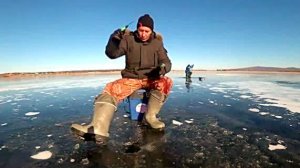 Рыбалка по первому льду. Зимняя рыбалка на щуку и окуня.