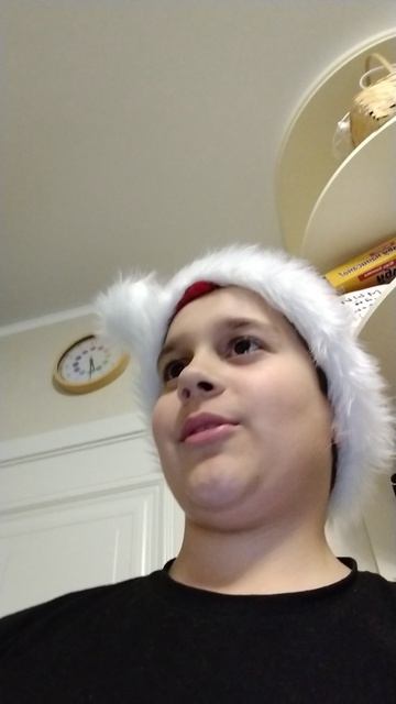 Папина логика