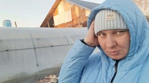 НАШ ВЕЧЕР, ЖАРЮ ШАШЛЫКИ.