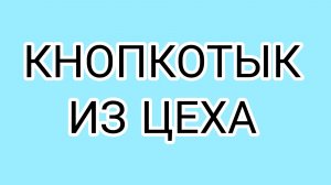 Шурик запутался в своих трёх извилинах