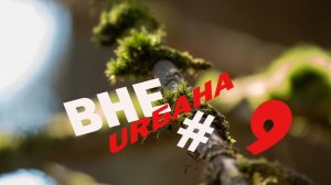 ВЕСЕННЯЯ ВЫЛАЗКА