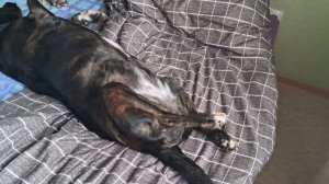 Оскар этой Богине💥💥💥😍❤️💋