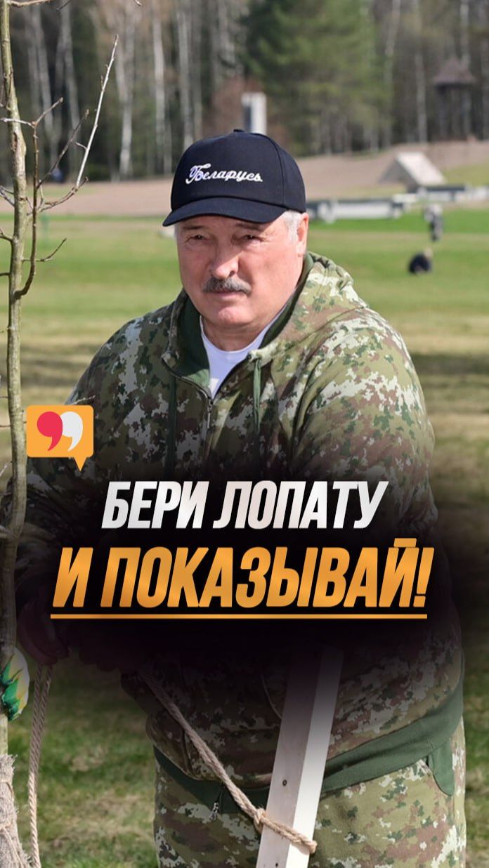 Лукашенко: Нет Басков тут надо ножкой!  Президент учит чиновников сажать деревья! shorts