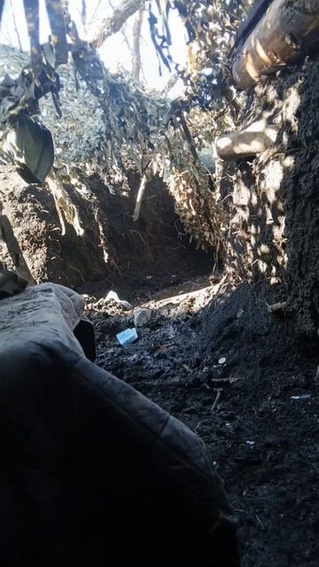 MOV_20260415_095600_079.mp4