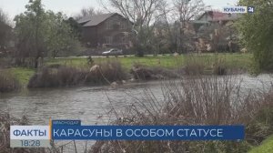 Краснодарские Карасуны получат статус особо охраняемой природной территории