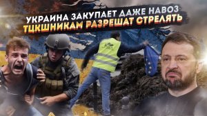 Навоз для Украины поставляют из ЕС! «Людоловам» из ТЦК могут разрешить стрелять!