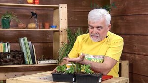 Вперёд, товарищи! На дачу! Выпуск от 14.04.26