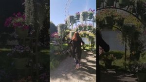 InShot_20260415_014905462.mp4