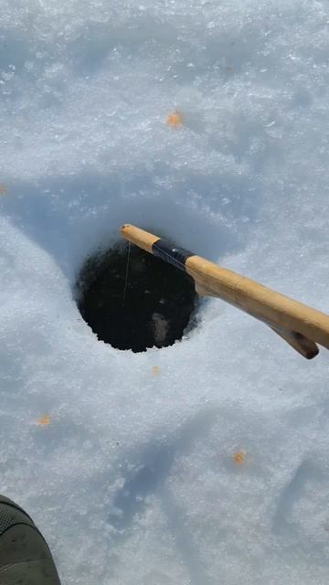 Ловлим Хариуса весной