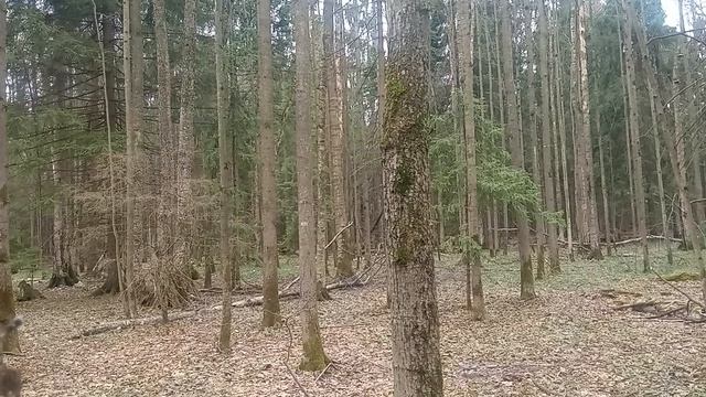 За какое время можно научиться др@TЬCя