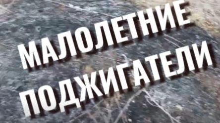 Малолетние поджигатели пойманы в ЕАО