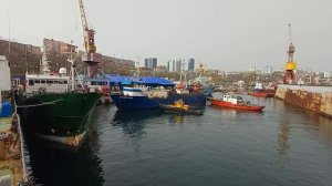 ПАРОХОД "К ЭМИРАЛЬДА " ЗАХОДИТ В ПОРТ ВЛАДИВОСТОКА