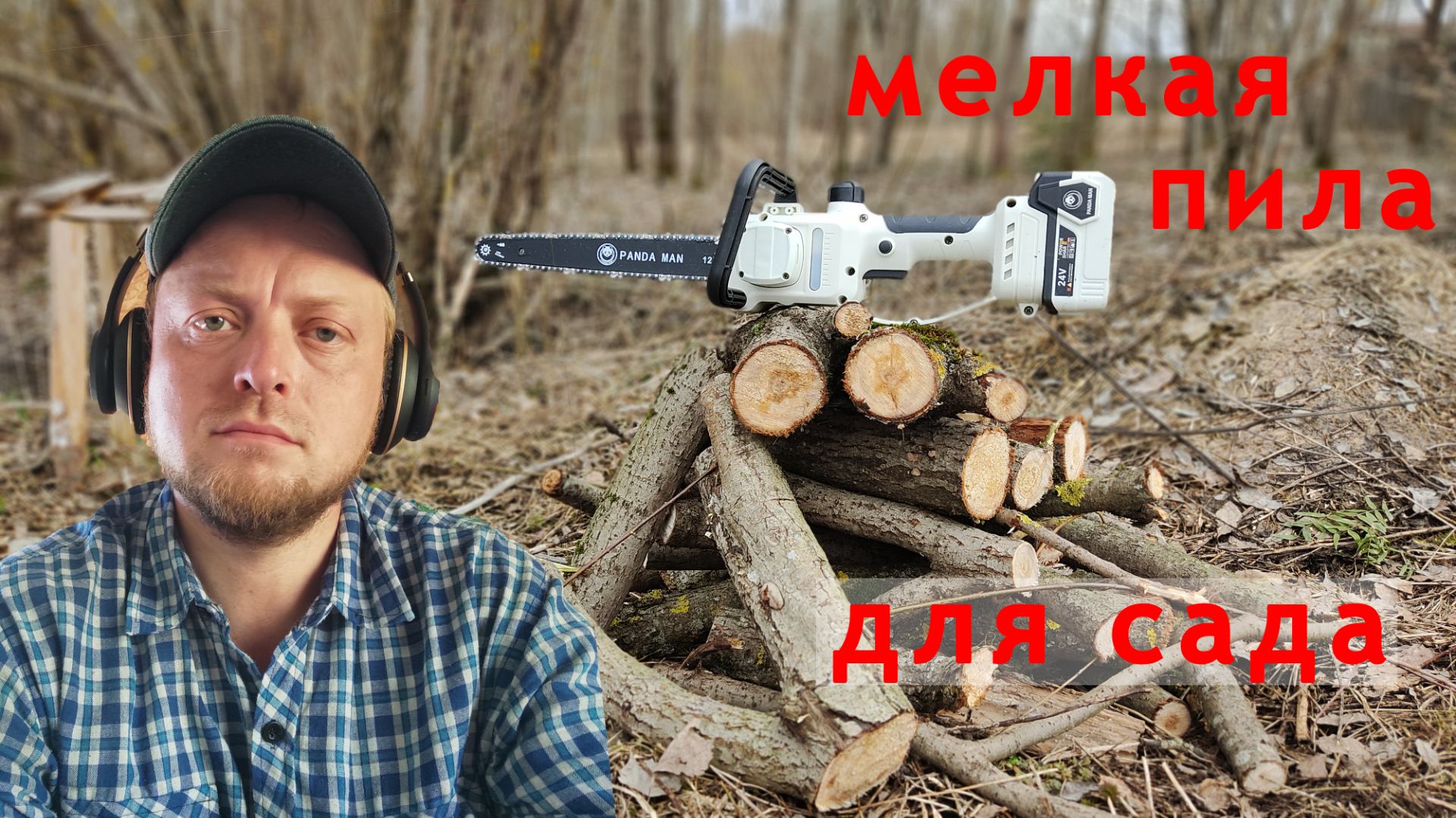 Для сада Аккумуляторная пила Panda Man или все таки сучкорез?