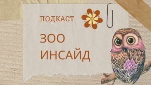 Подкаст «Зоо Инсайд»: Отдел «Развитие»