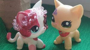 Littlest Pet Shop: Совместный проект с моей сестрой Настей: Брат По Сердцу, Брат По Душе 1 серия