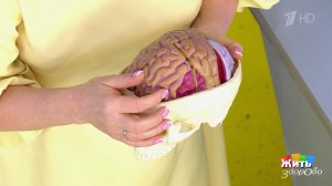 Атмосферное давление - кто в зоне риска? Жить здорово! Фрагмент выпуска от 15.04.2026