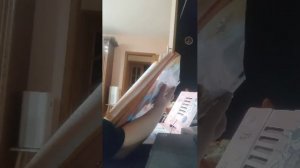 пою помидор с мылом