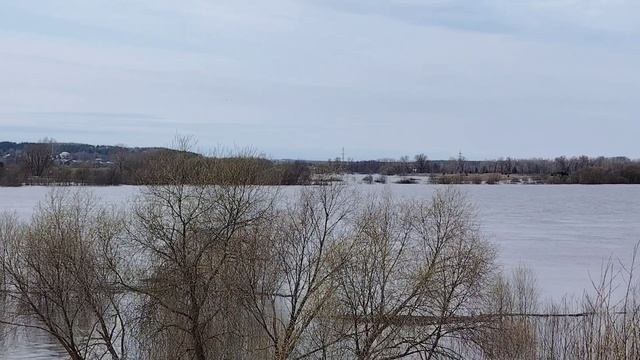 Широка и глубока, наша красавица Ока ( 15 апреля)