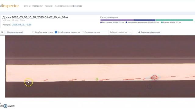 Волосяные трещины на строганой сосне: определяет сканер пиломатериалов KnotInspector