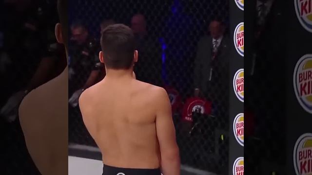 Бои без правил, лучшие нокауты