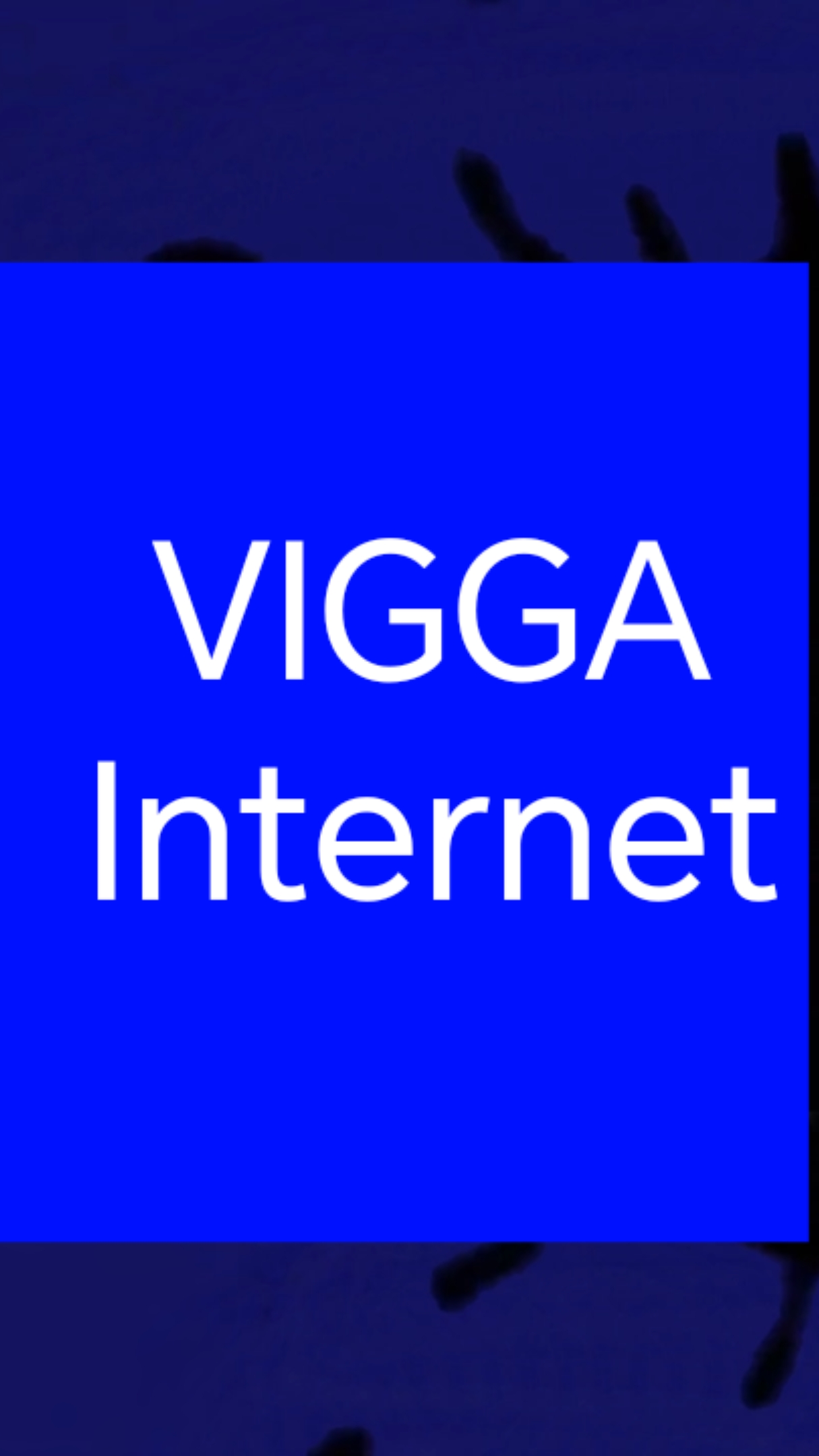 vigga internet?!