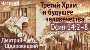 Будущее Cвятой земли и Божьего народа