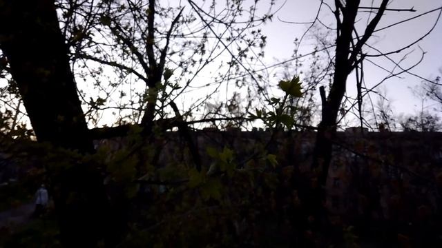 Закатный вечер