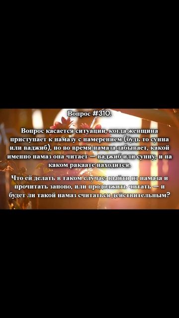 #shorts   #ислам  #знание  #rmotvet  @RMotvet
