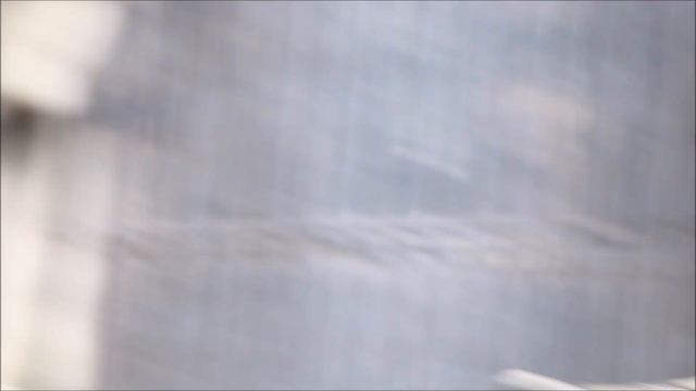 Эри не желает видеть Мичигана у себя на гамаке 09.04.2026