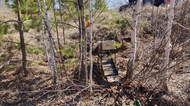 Мою самородное золото новыми коврами сота!!!