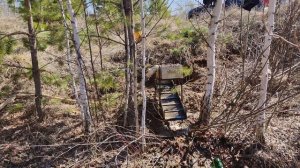 Мою самородное золото новыми коврами сота!!!