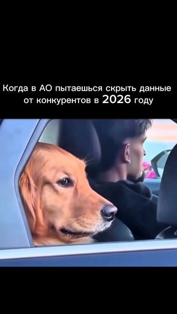 Как законно скрыть бенефициаров в ЕГРЮЛ? Конфиденциальность владения в 2026 году