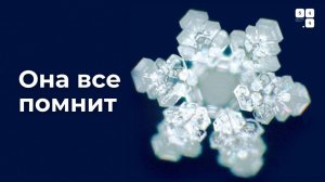 Великая тайна воды: Как наши мысли меняют реальность физически.