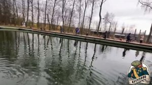 Промежуточный поимки на лесном пруду