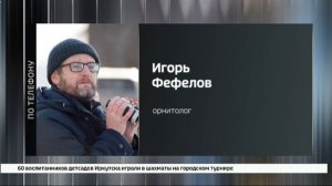 Птичий базар появился на Парфиновском карьере в Иркутске
