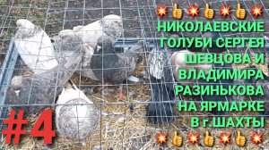 🕊👍🕊 Голуби Сергея Шевцова и Владимира Разинькова на ярмарке в г.Шахты. Птичий рынок.