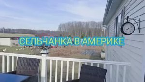 Сельчанка в Америке КАК ЖИВУТ ЛЮДИ В АМЕРИКАНСКОЙ ДЕРЕВНЕ