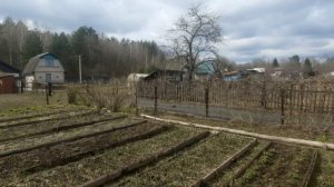 Новый сезон 2026года. Первые дачные дни.