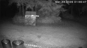 Маленькие Огоньки На Заднем Дворе